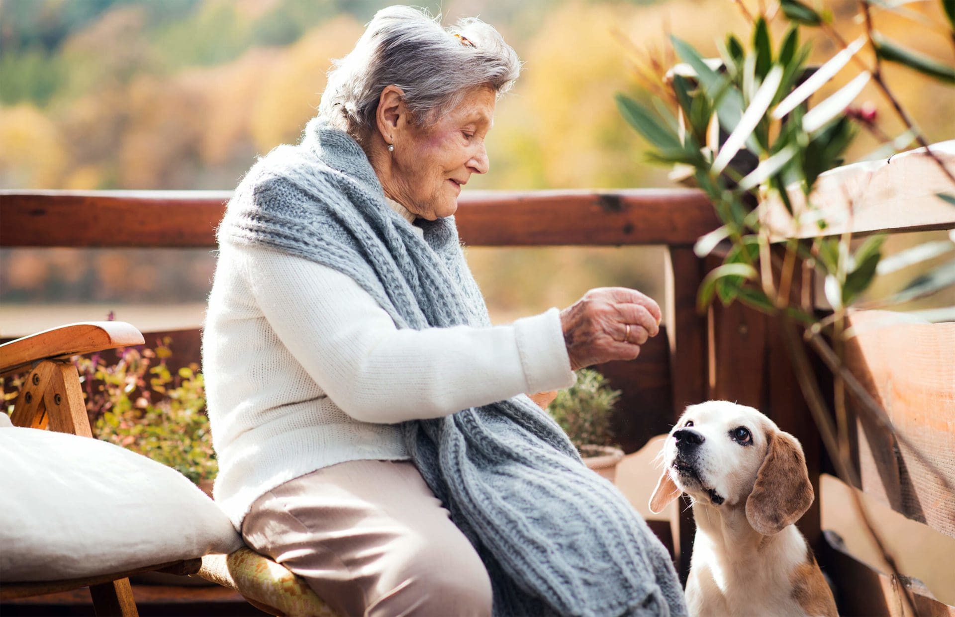Elderly woman feeding a dog